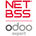 netBSS Soluciones Informaticas S.L.